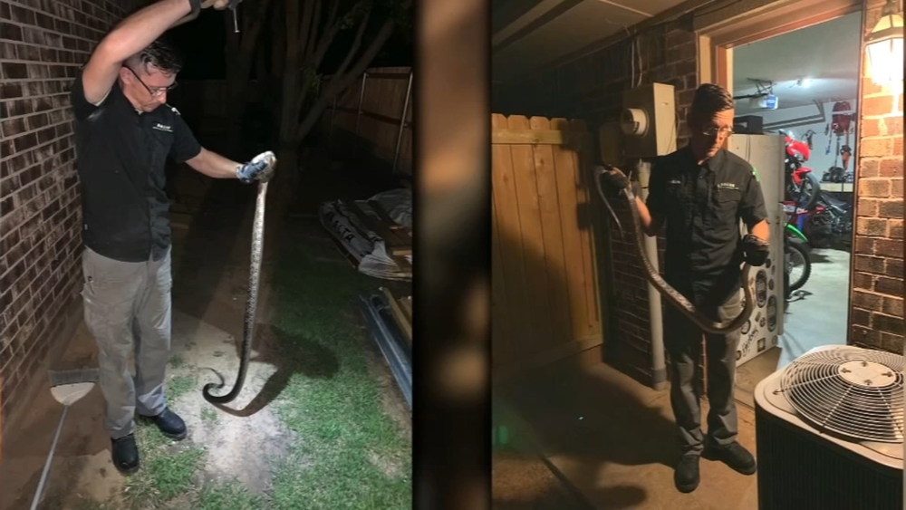 Man finds 7-foot snake in dryer vent