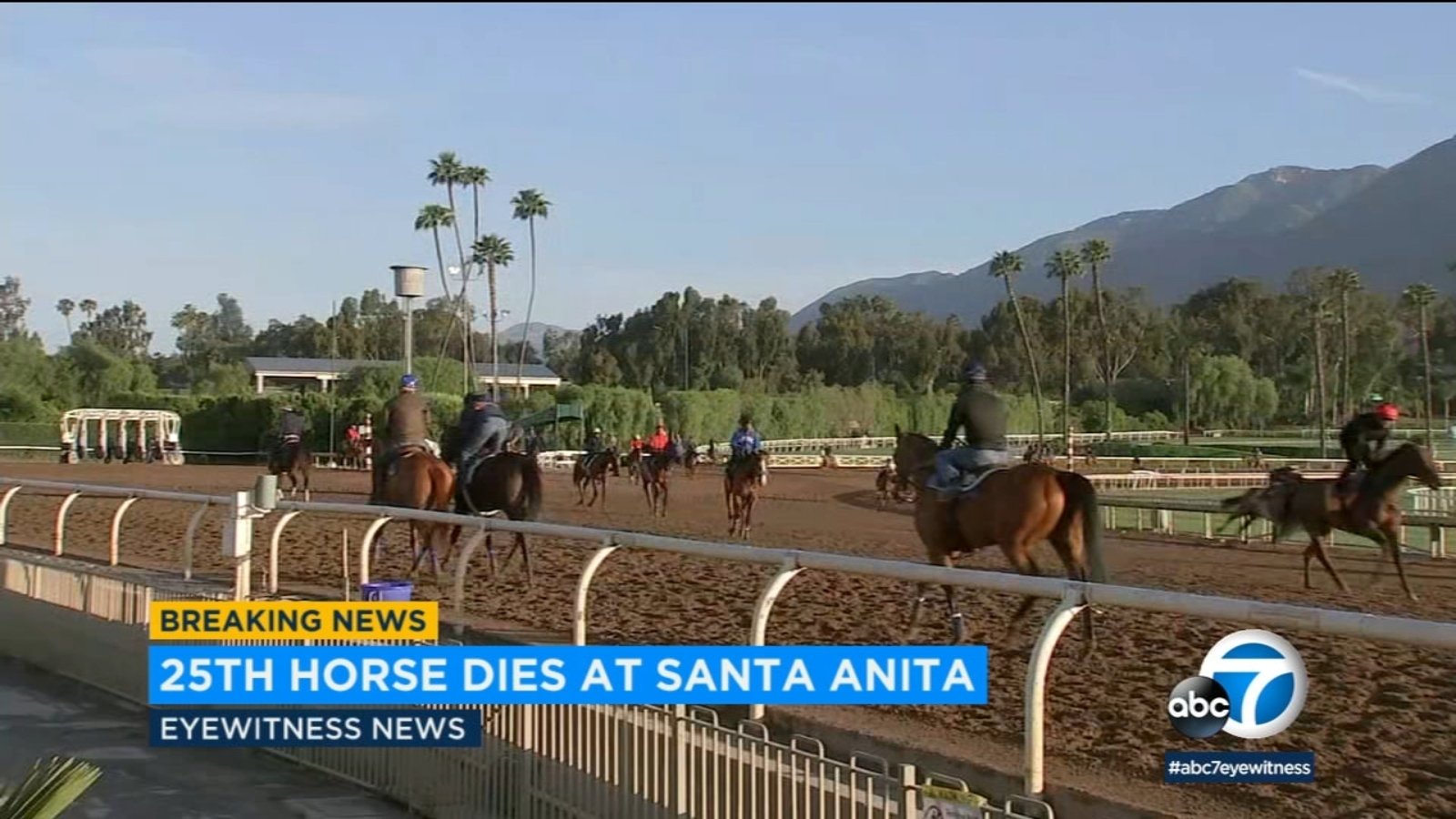 Santa Anita horse deaths 25th horse dies at track