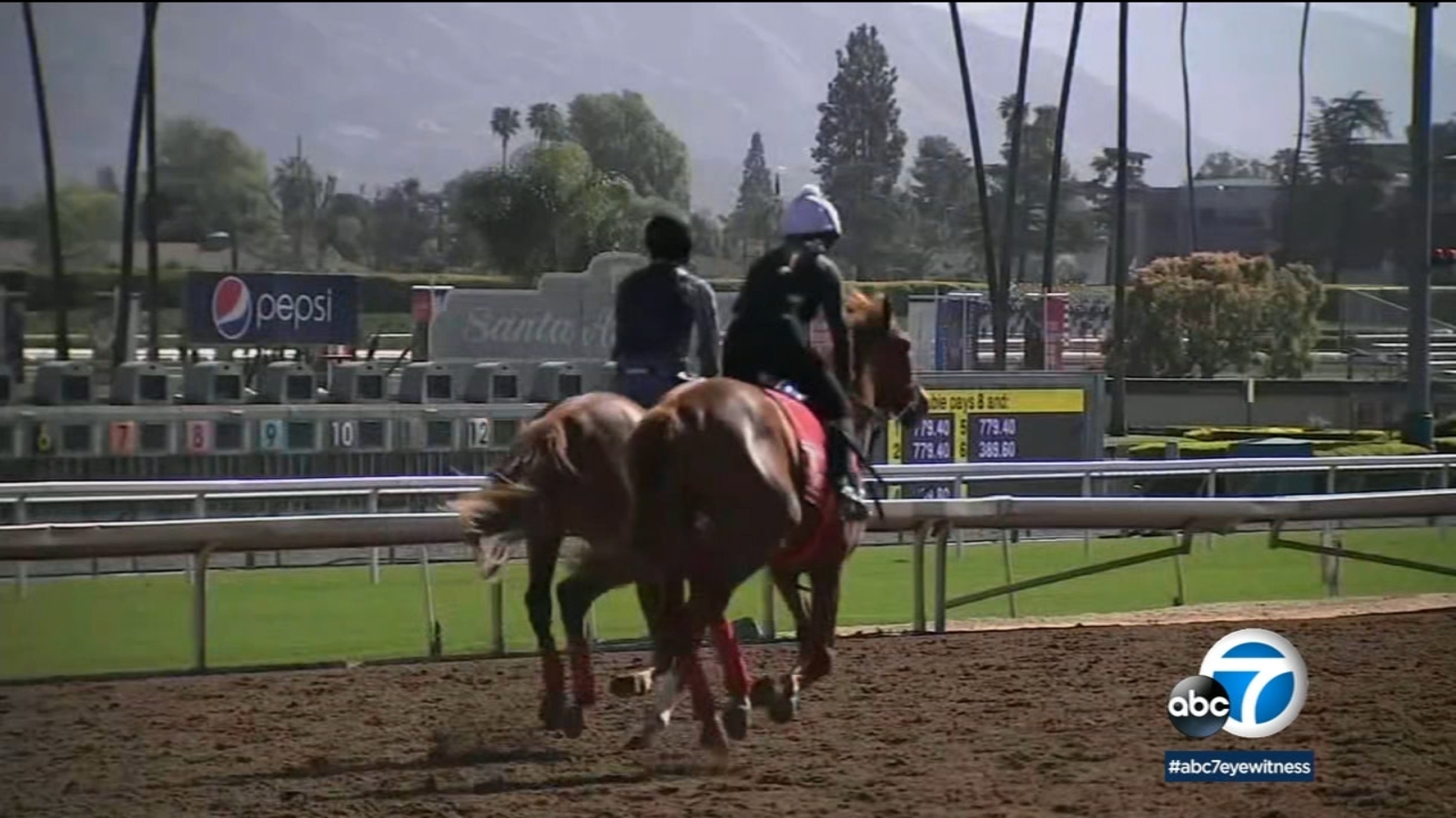 Santa Anita horse deaths 25th horse dies at track ABC13 Houston