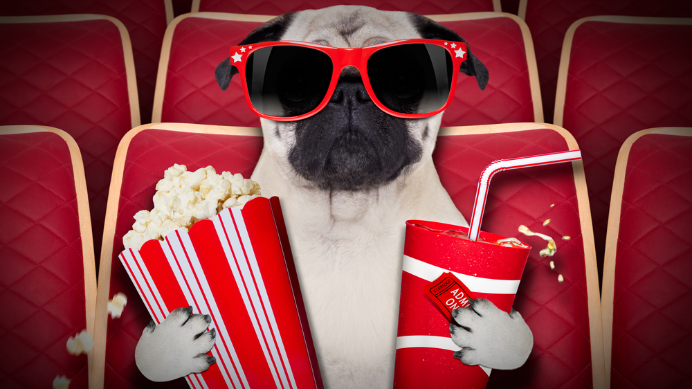 Bring your dog and drink bottomless wine at new movie theater