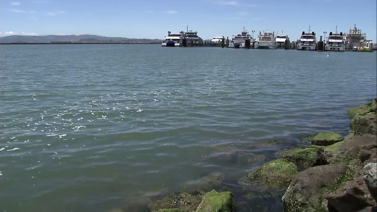 Tech firm wants to use bay water to cool its data center