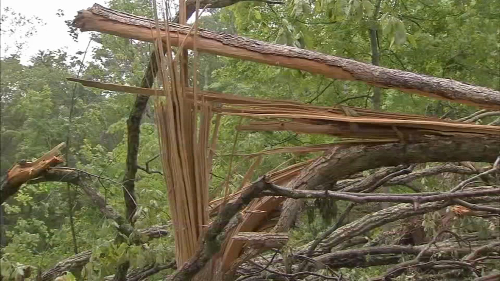 NWS Tornado touched down in Bucks County Sunday night 6abc Philadelphia