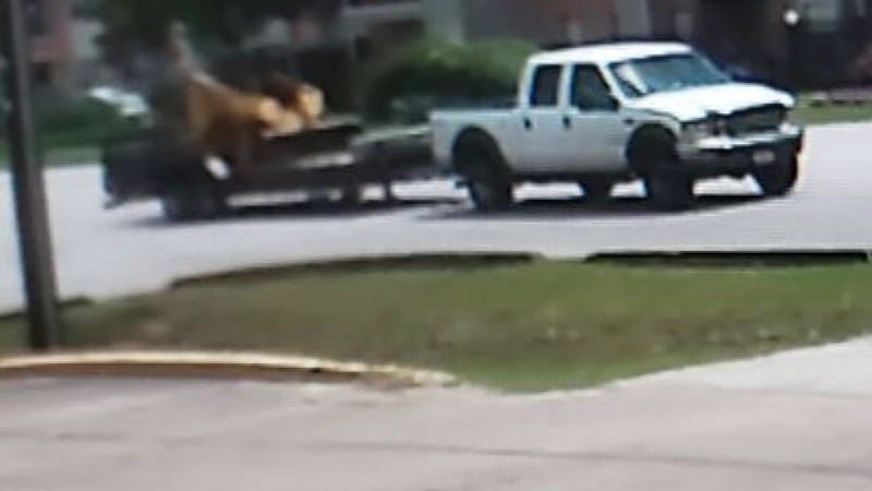 Thieves Steal Family S Truck Used To Transport Disabled Houston Girl Abc13 Houston