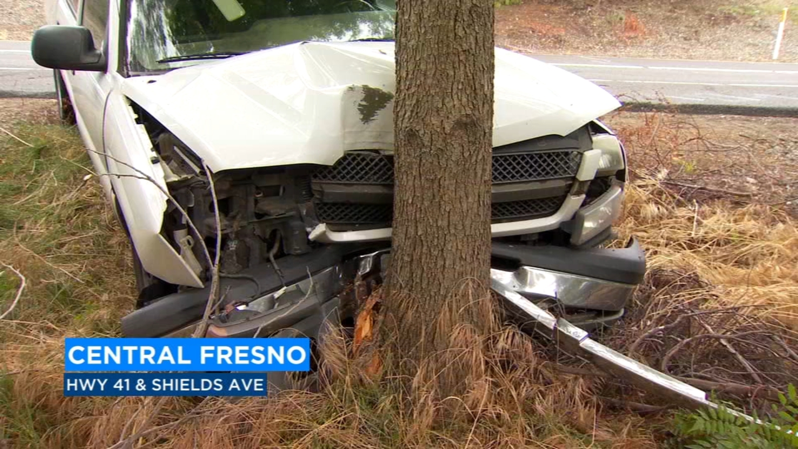 Wet roads cause truck to slam into tree in Central Fresno - ABC30 Fresno