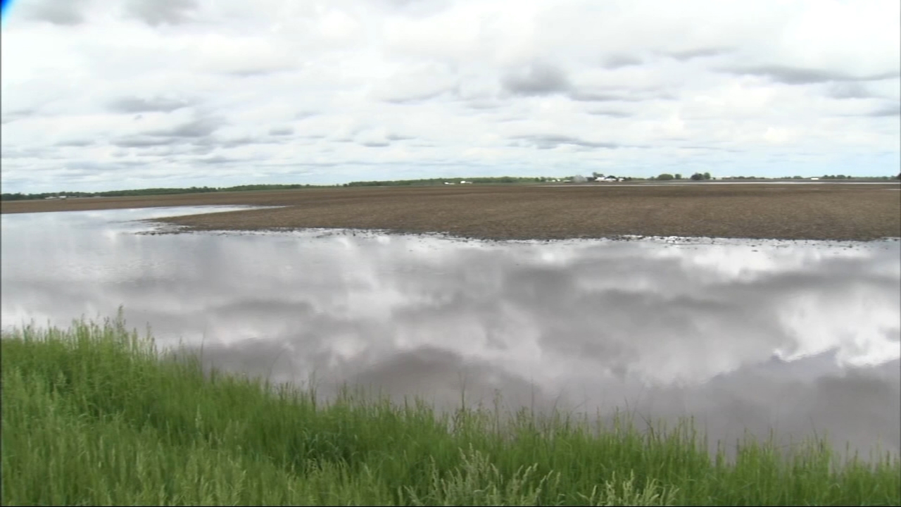 Farmers under water as Chicago area sees 2nd wettest May on record