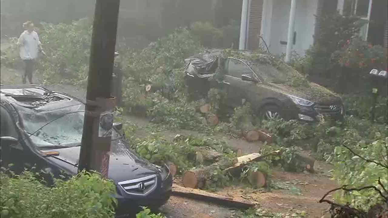 Residents across Delaware Valley clean up after Wednesday's storms