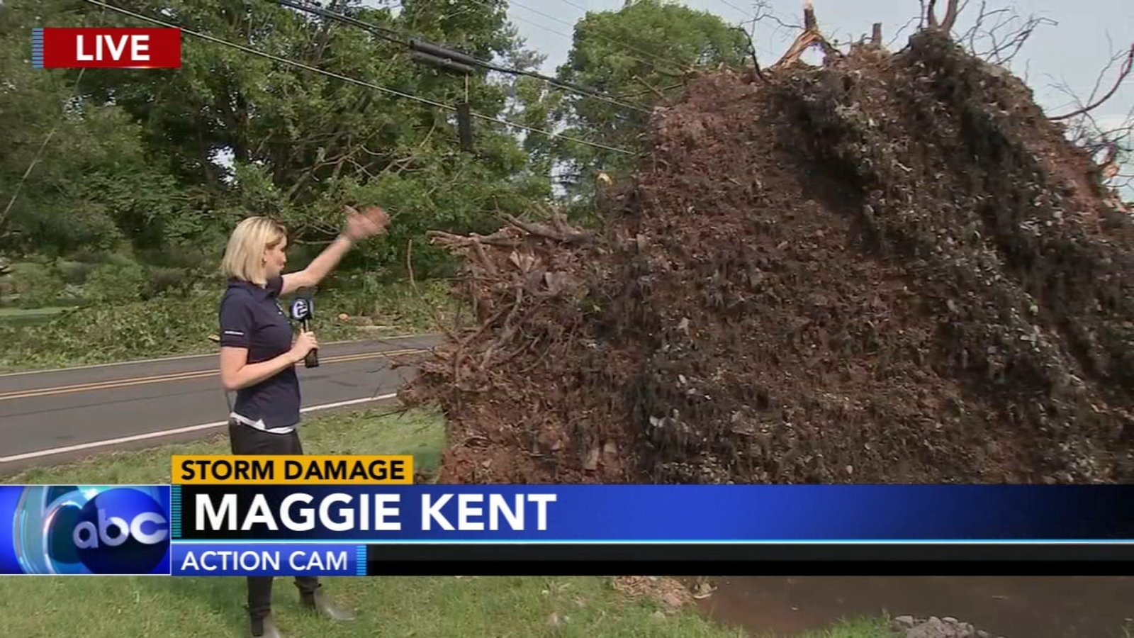 Cleanup continues after damaging wind storm in Montgomery County - 6abc ...