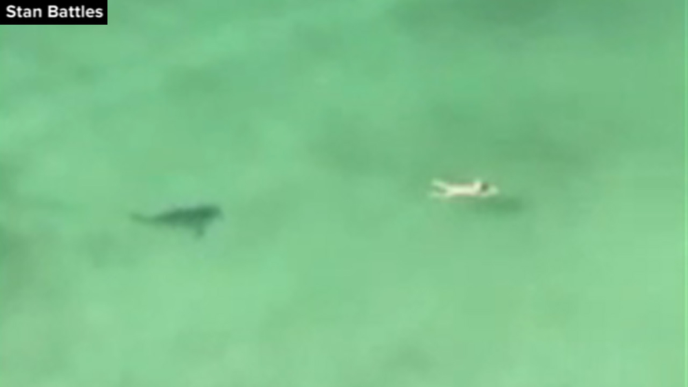 VIDEO: Shark gets very close to swimmer at Florida beach