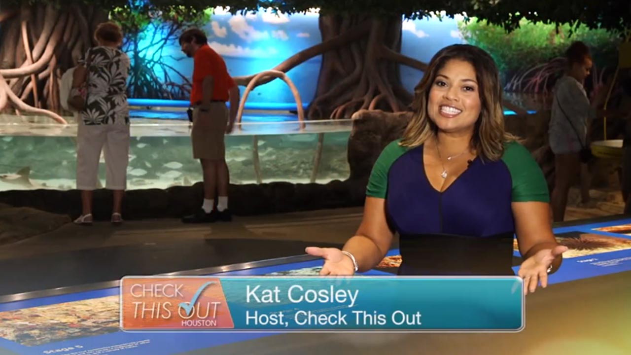 Check This Out, June 1 - Moody Gardens