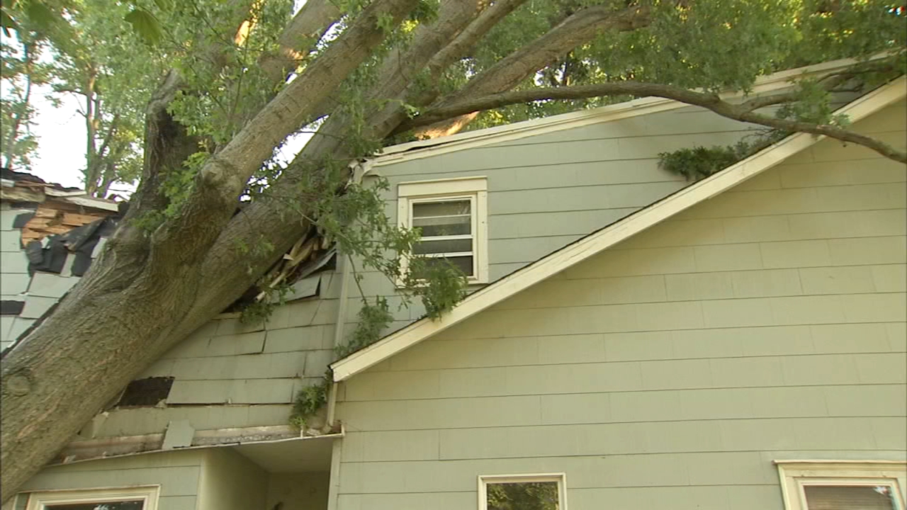 Severe weather causes damage, power outages in Croydon