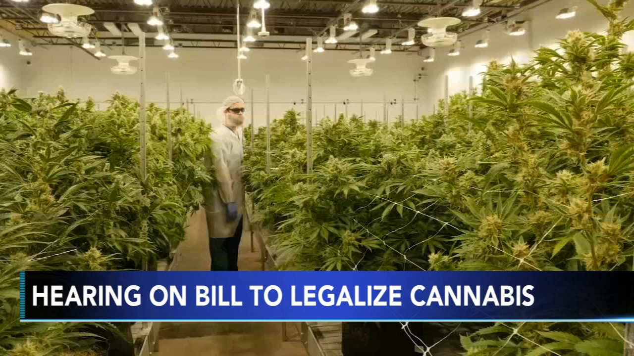 Hearing set to propose legalization of cannabis in Delaware