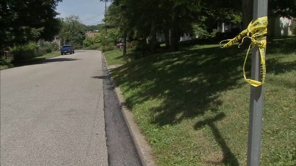 Delivery driver tied up and left stranded in Springfield
