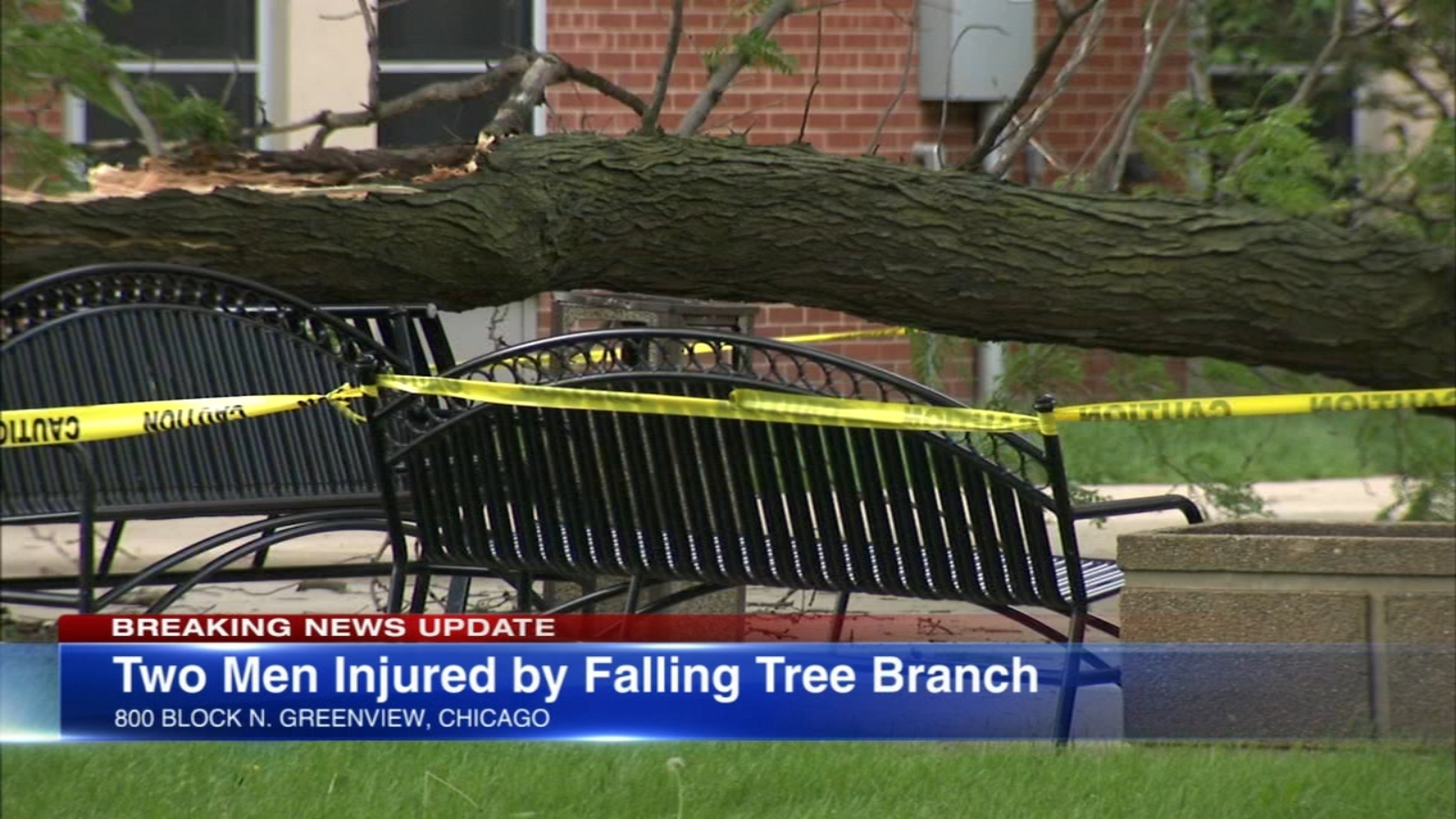 2 senior citizens injured by falling tree branch in West Town - ABC7 ...