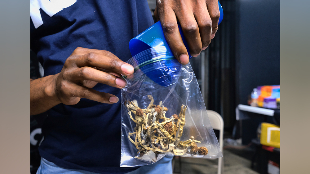 Oakland 2nd US city to legalize magic mushrooms