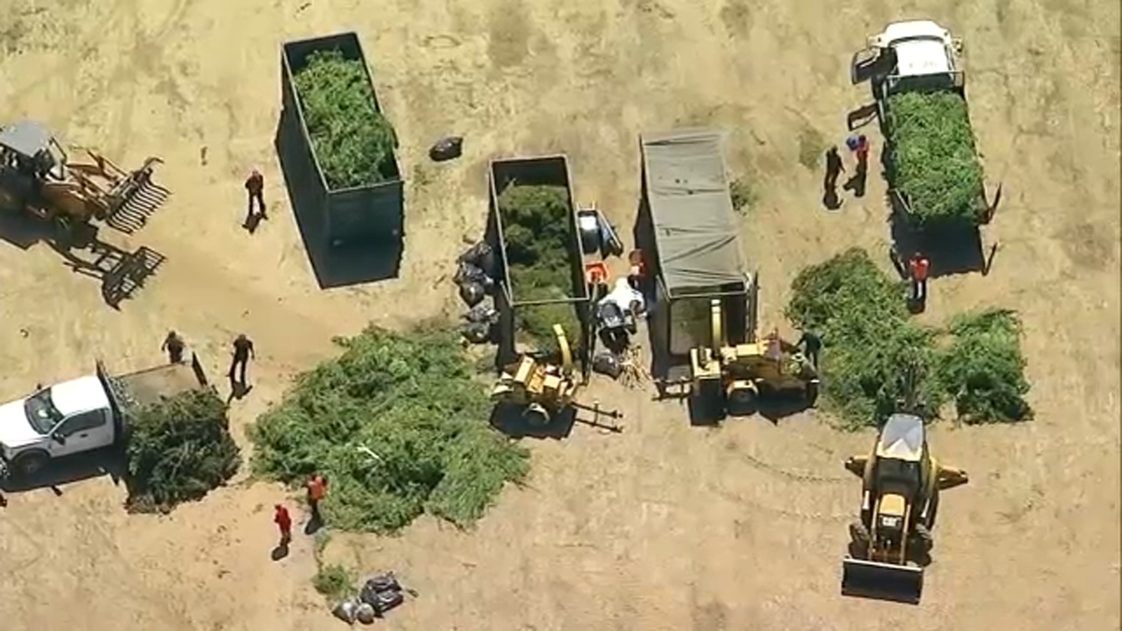 Anza Valley pot bust Riverside County Sheriff's Department