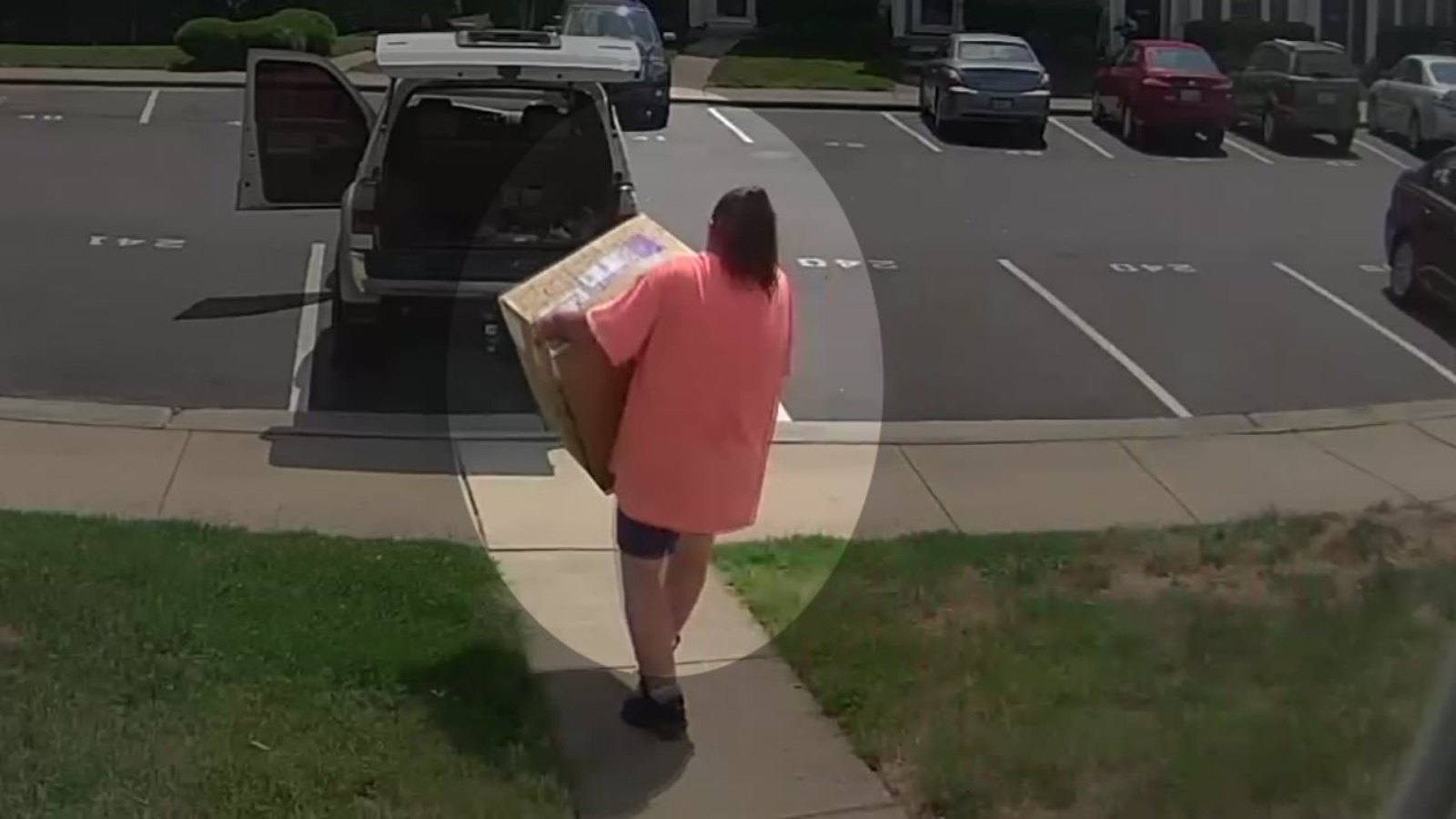 VIDEO Thief steals 2 packages from Brier Creek doorstep ABC11 RaleighDurham