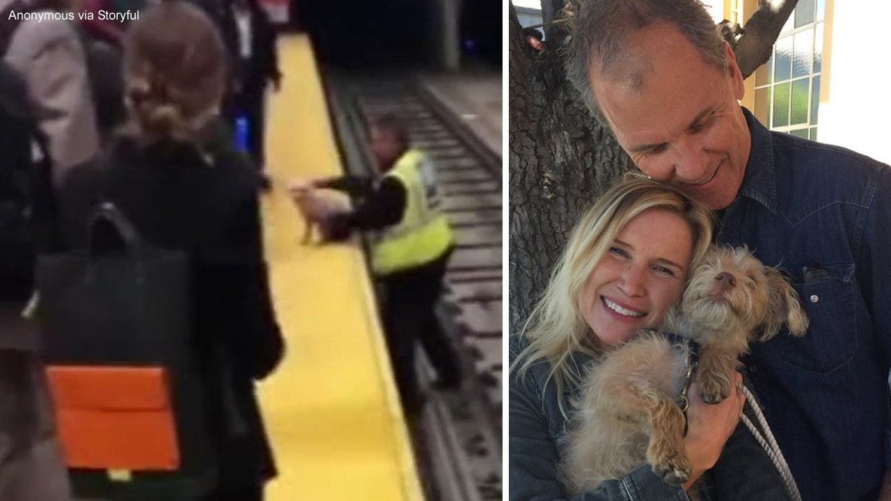 EXCLUSIVE: Dog reunites with owner after SF Muni rescue