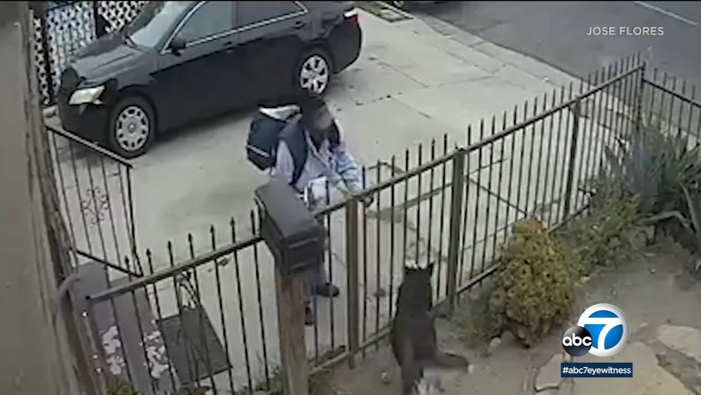 VIDEO: Mail carrier pepper sprays dog in front yard of L.A. home