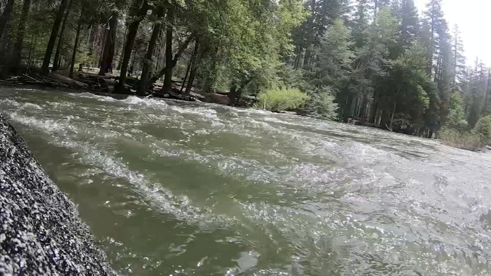 There's danger lurking on the rivers in Sequoia and Kings Canyon