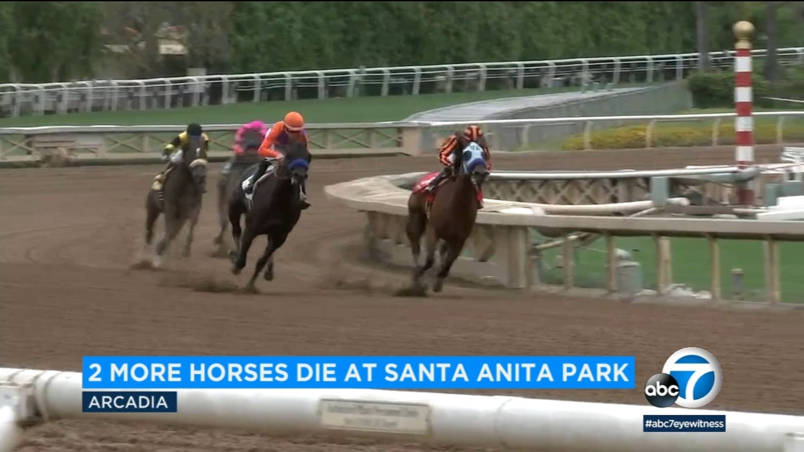 2 more horses die at Santa Anita Park bringing season's total to 29