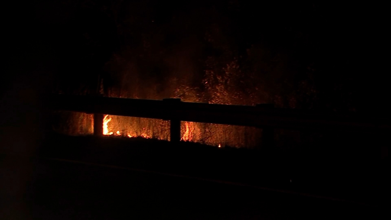Forest fire possibly sparked by lightning