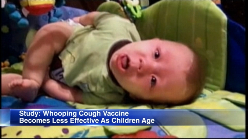 Whooping cough vaccine becomes less effective over time, study says