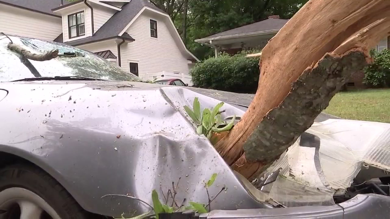 3 cars damaged when tree branch falls in Raleigh ABC11 RaleighDurham