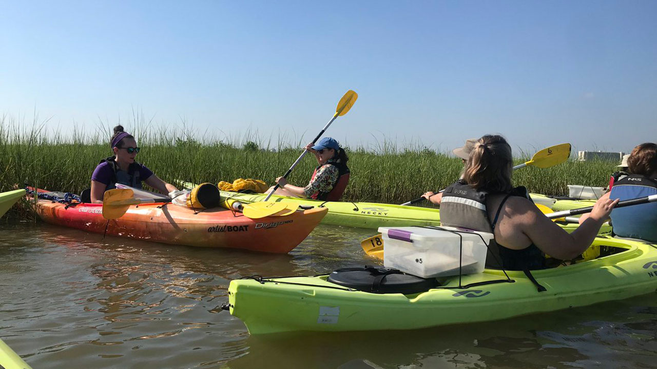 Artist Boat offers calming art experience in Galveston | HTX+