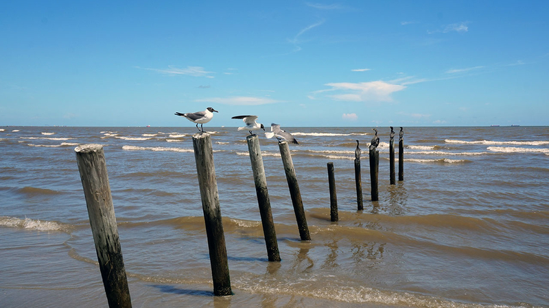 Texas Gulf Coast Beach Bacteria What You Need To Know Abc13 Houston Texas Gulf Coast Beach Bacteria What
