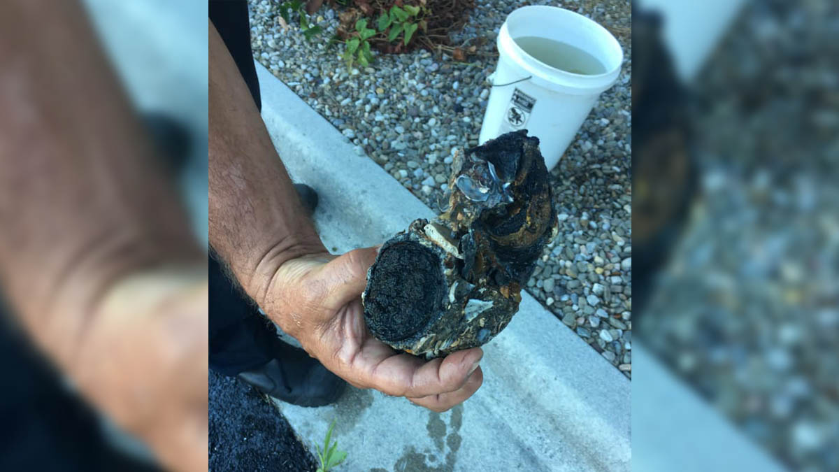 Old military explosive found on North Carolina beach