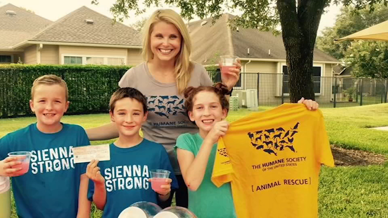11-year-old Missouri City girl raises $17,000 for rescued animals
