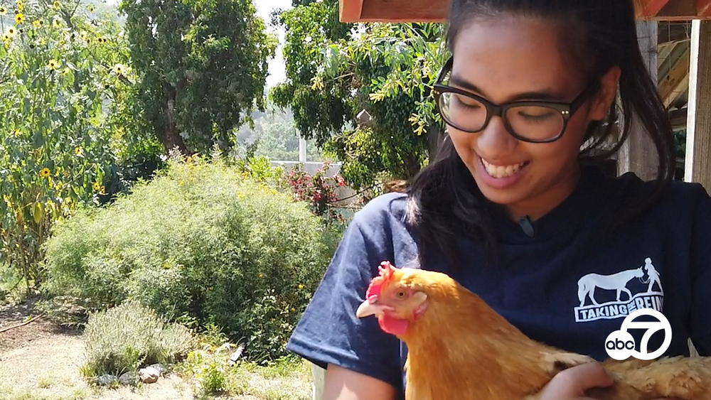 Taking the Reins empowers local student to further her passion