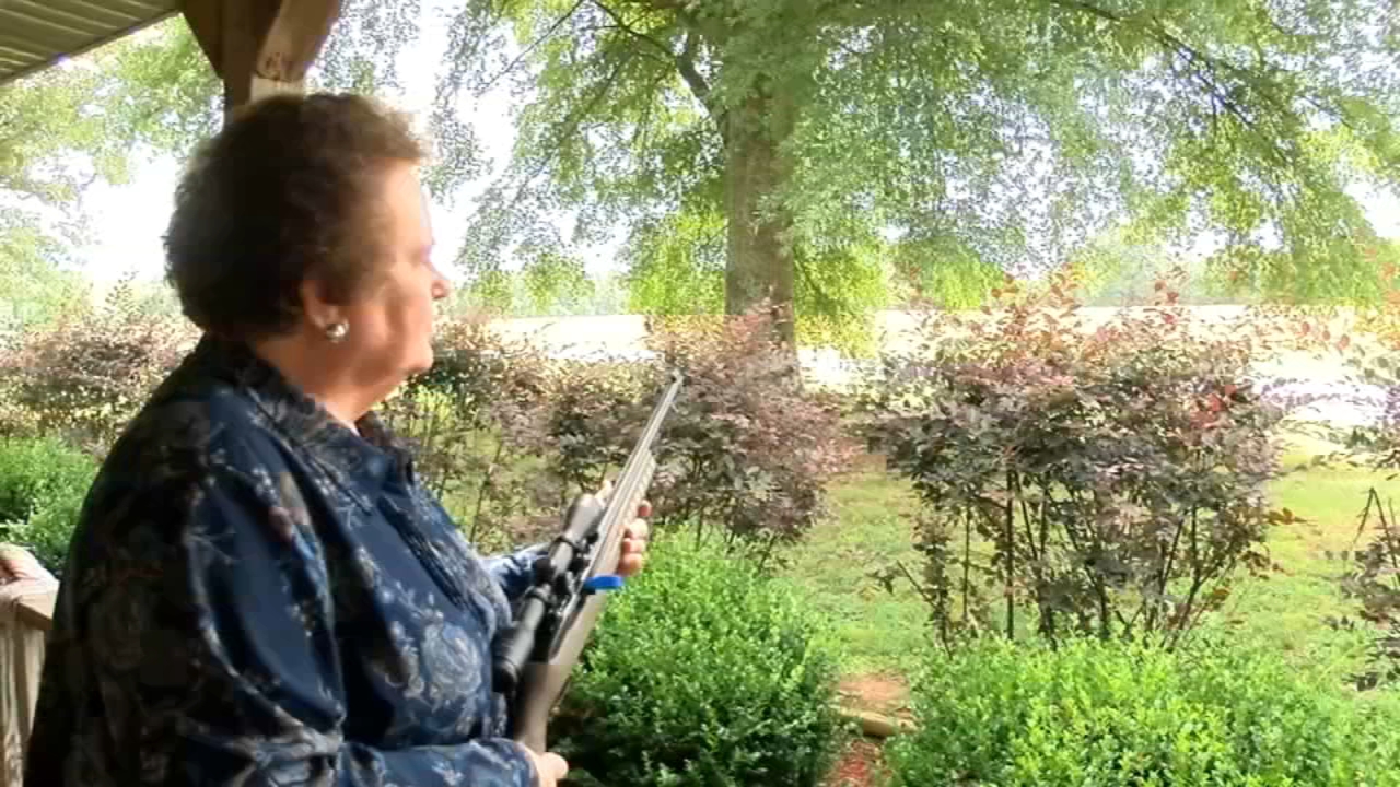 Grandma holds chase suspect at gunpoint
