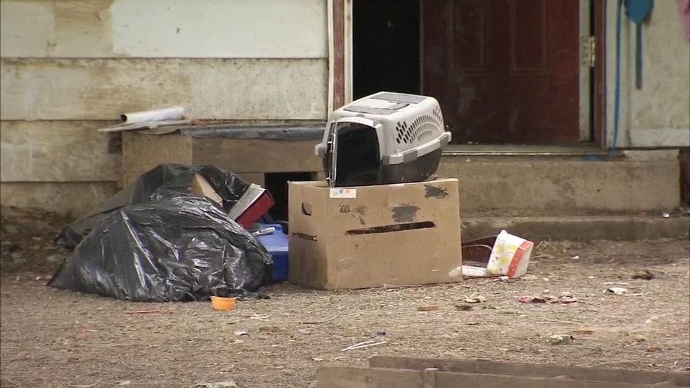 Police investigate disturbing child, animal abuse case in Chester Co.