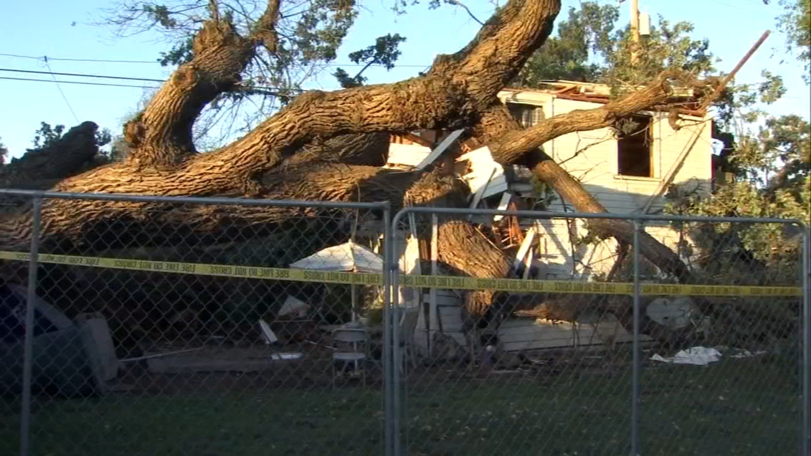Massive tree falls on Tulare home causing major damage ABC30 Fresno
