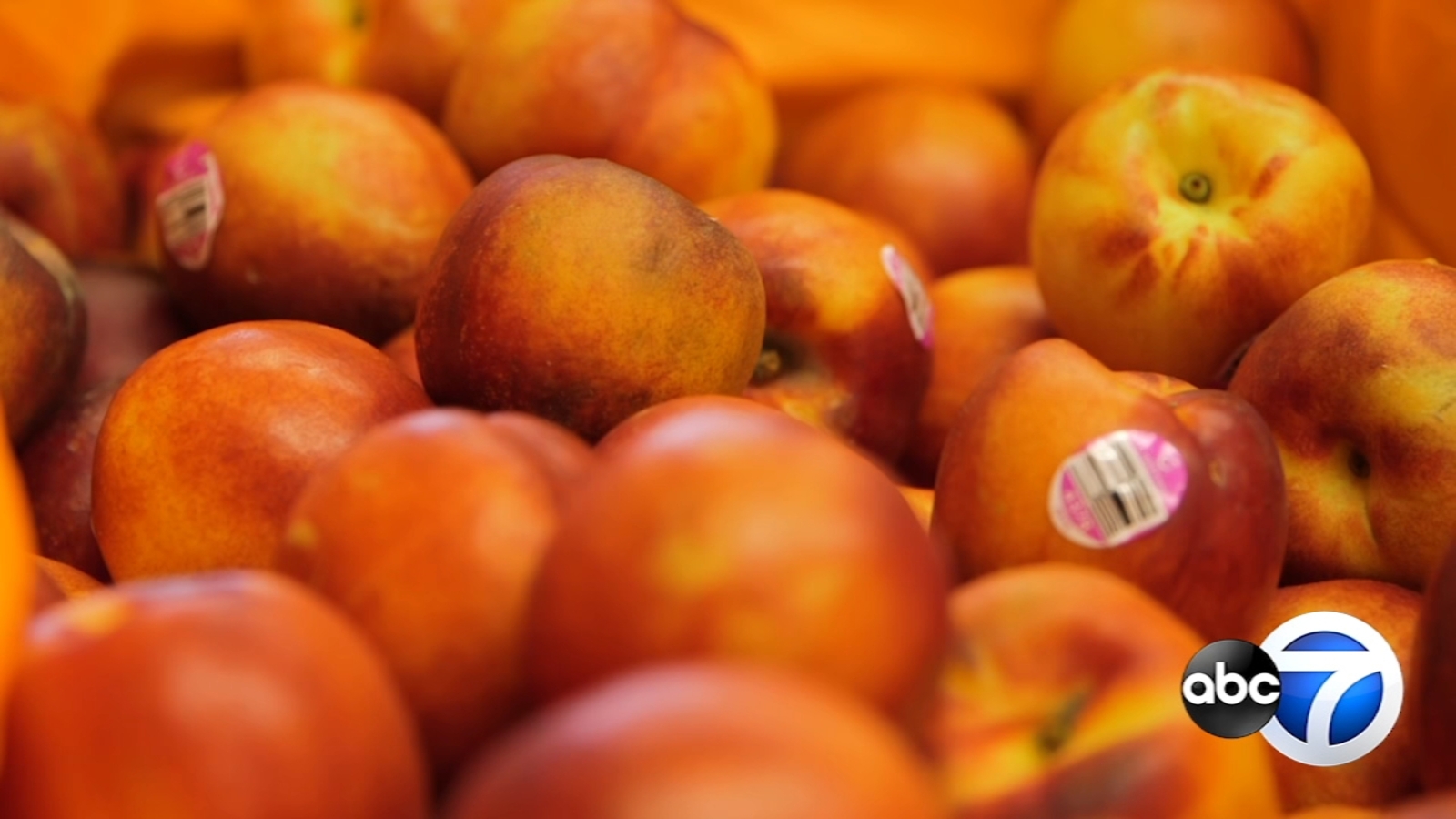 Fresh food market opens in Austin, offers local produce every month for