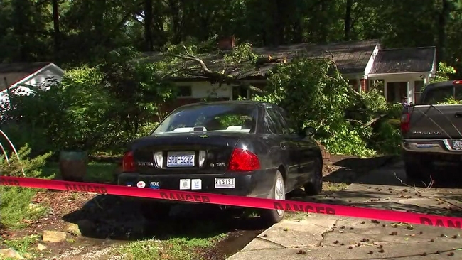 Some worry about wildlife habitat as new shopping district planned for