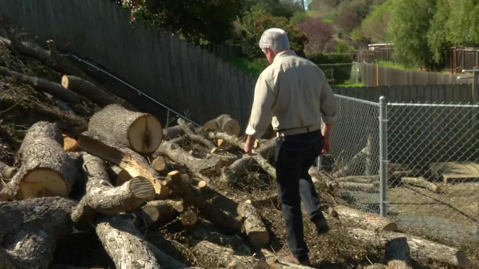 PG&E cuts down stunned homeowner's trees for fire mitigation - ABC7 San ...