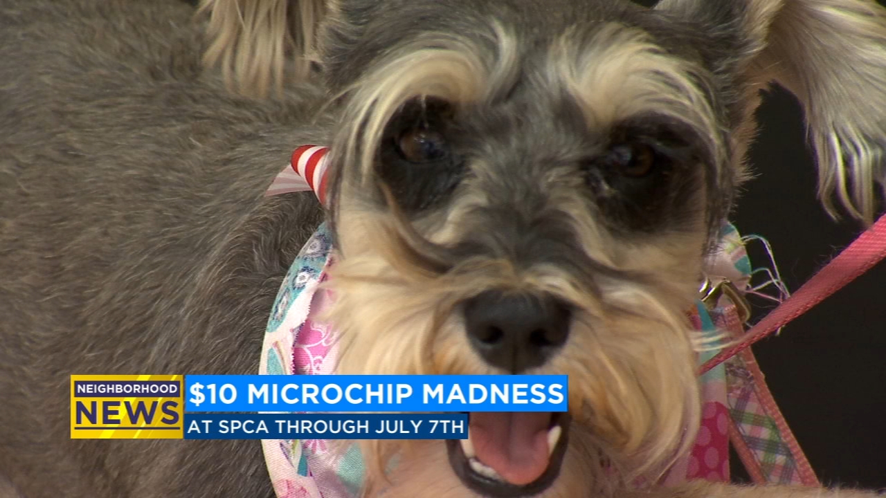 Get your dogs, cats microchipped for $10 at the CCSPCA