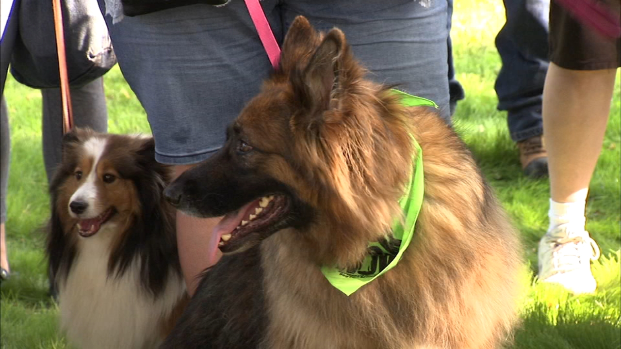 New dog-friendly area opens inside Calumet Park