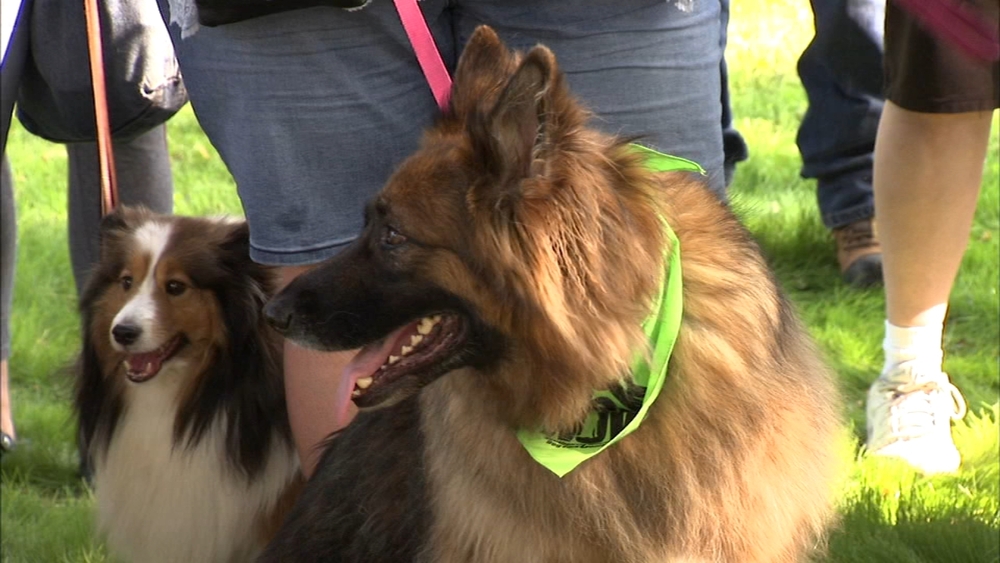 New dog-friendly area opens inside Calumet Park
