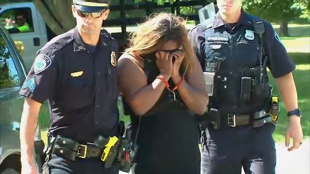 'I killed them with my bare hands,' Long Island suspect in twins' murder told mom