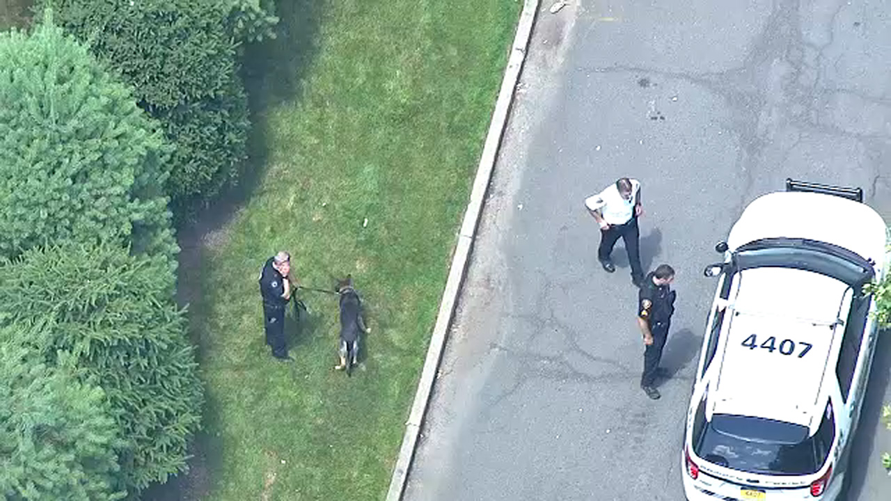 Man found fatally shot in taxi behind NY CVS