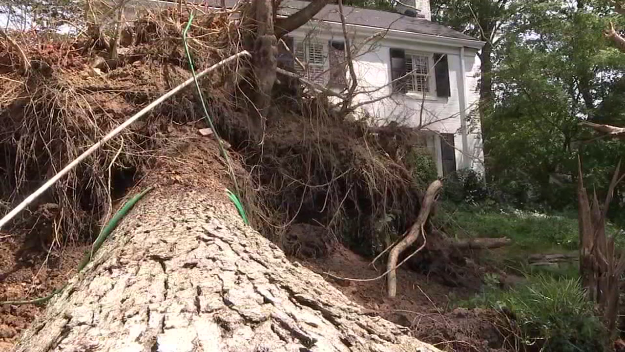 Thunderstorm passes through Raleigh, causes heavy damage in some areas