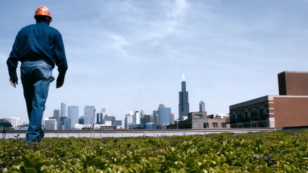 Graduation, Conservation, and Innovation