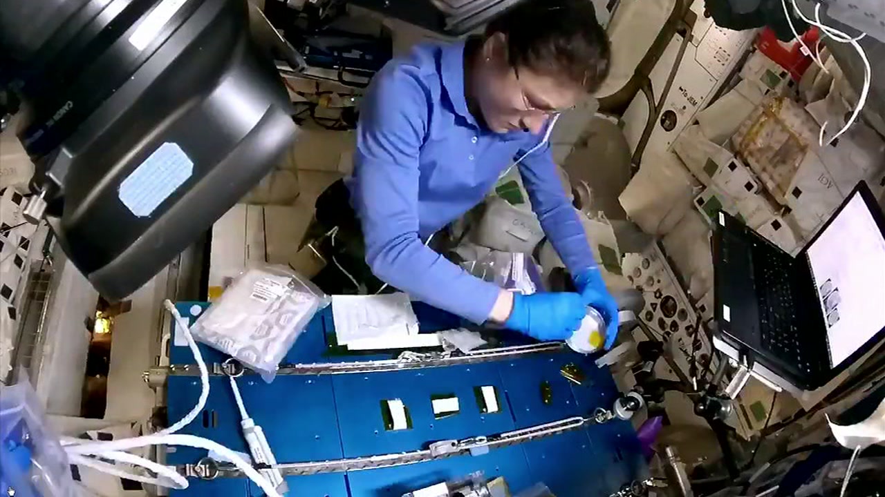 Astronaut, NC State grad Christina Koch gives update on the ISS
