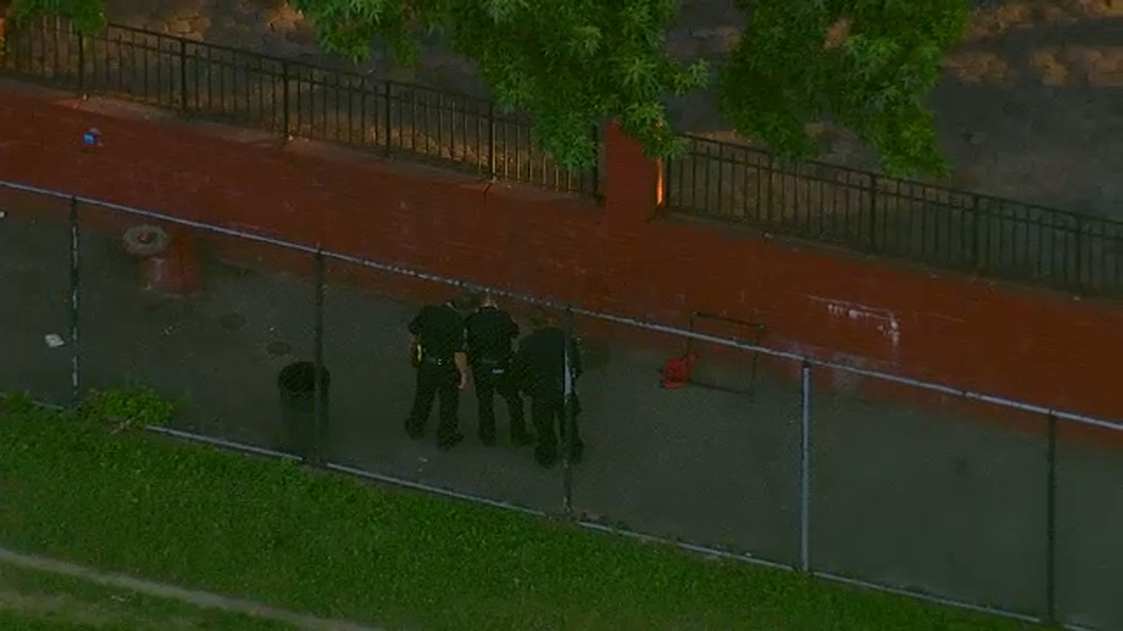 Police search for gunman who shot man in Crown Heights park - ABC7 New York