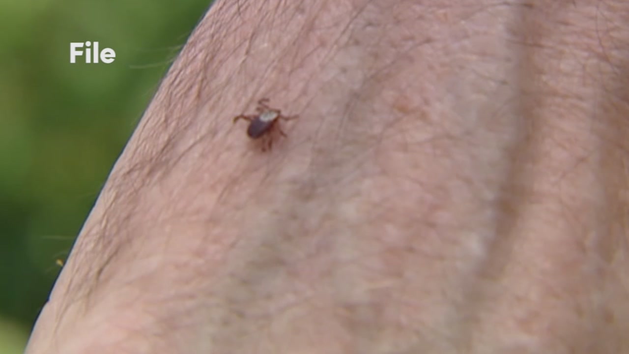 Wake County mom recovering from tick-borne illness sends warning