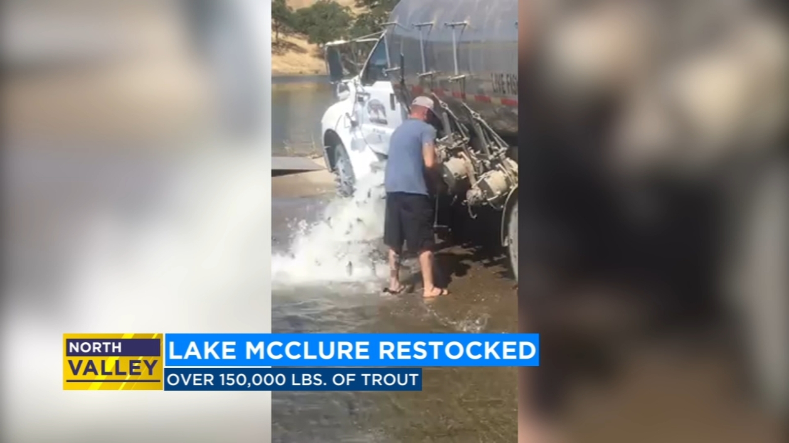 Lake McClure restocked with 150,000 pounds of trout, including 6 trophy