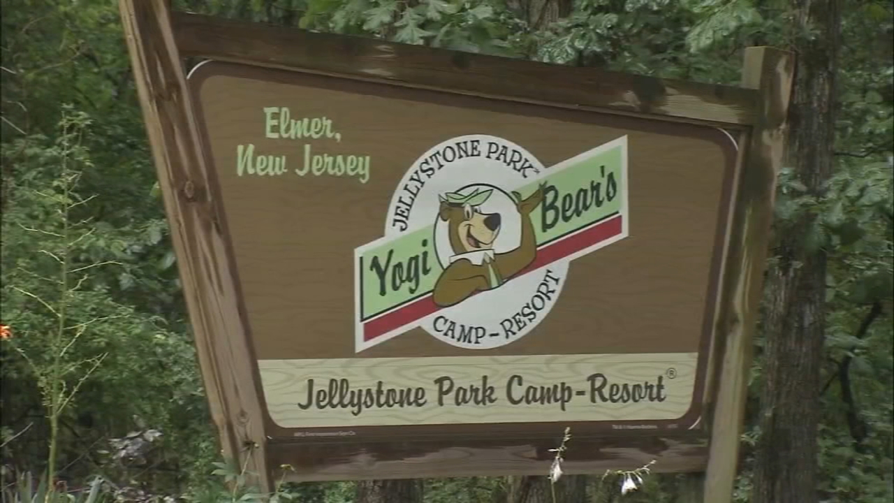 Girl killed by falling branch at area campground